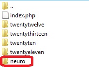wp_instalar_tema_ftp
